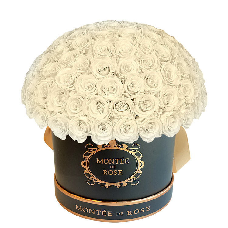 Black Large Dome Cream