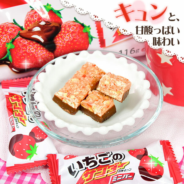 Get YURAKUSEIKA Strawberry Chocolate Wafers 113g 1 each Delivered