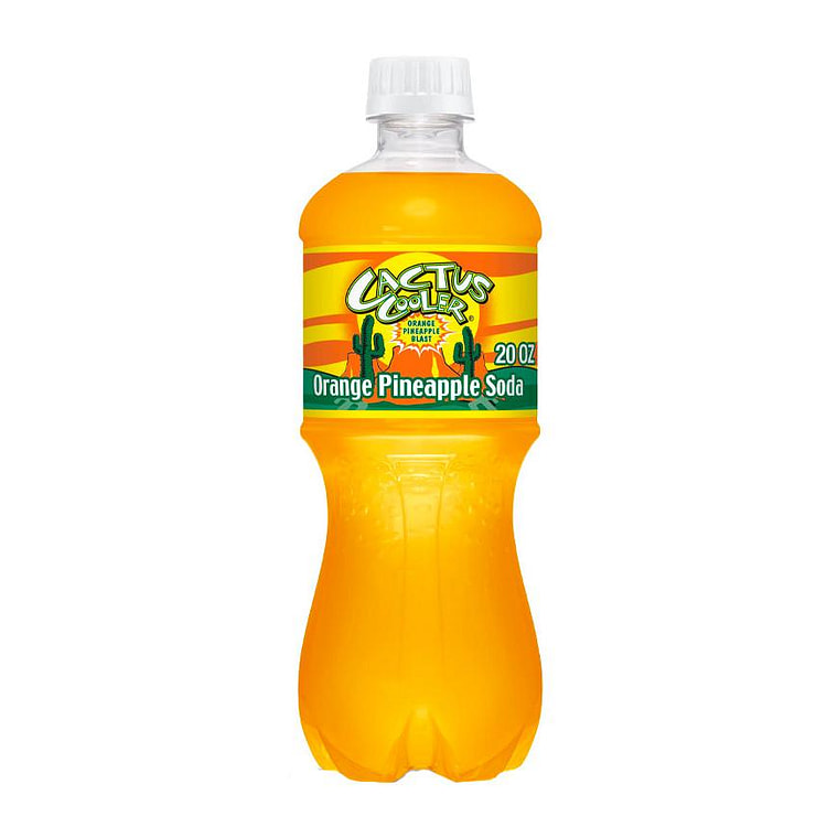Cactus Cooler 20oz Bottle 1 each