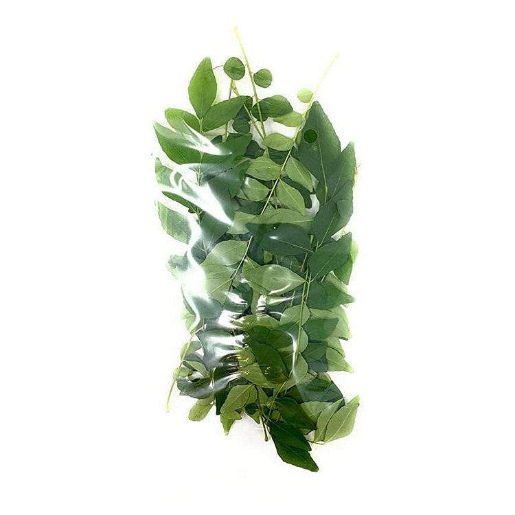 Fresh Curry Leaves 2-3oz 100 g