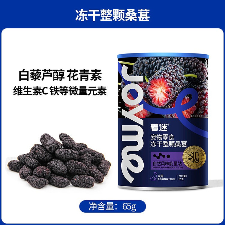 Joyme冻干桑葚 狗狗水果零食1瓶 65 克