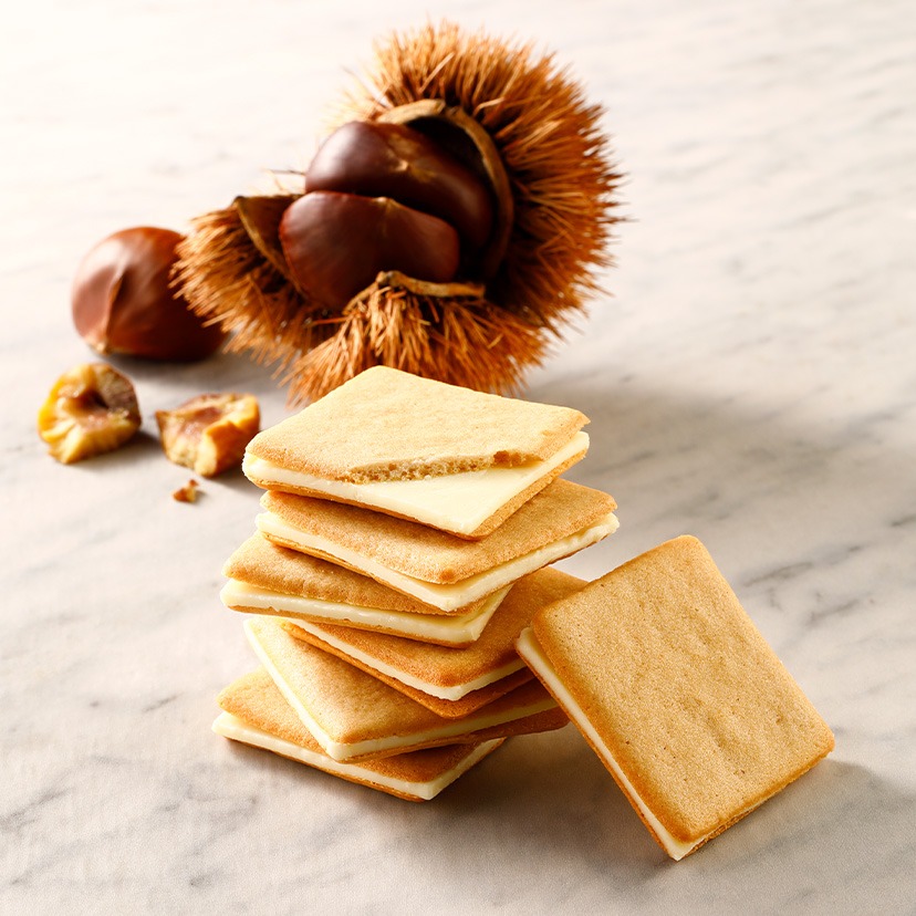 Get TOKYO MILK CHEESE FACTORY Cookies Gift Box 40 pcs Delivered