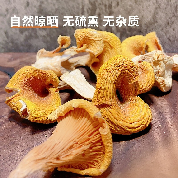 云南鸡油菌 特级干货 黄金菇 炖汤 精选鸡油菌1袋