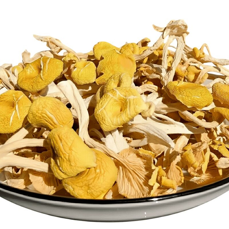 东北榆黄蘑菇干货250g 250 克