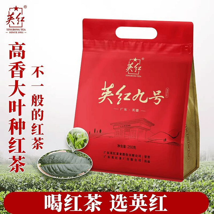 Yinghong No. 9 Yingde Black Tea Rich Aroma Style 250 g