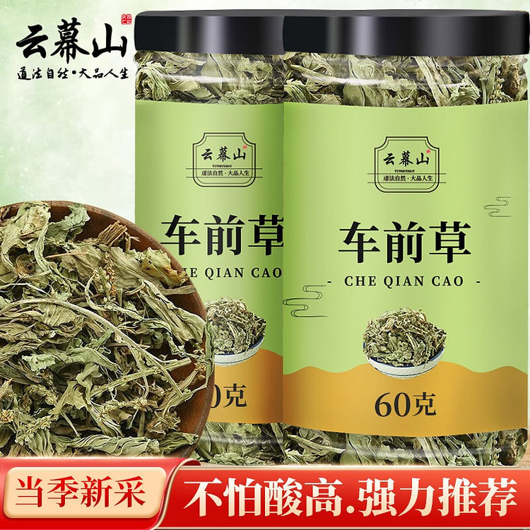 云幕山车前草干货猫爪草新鲜采摘干净无杂1罐