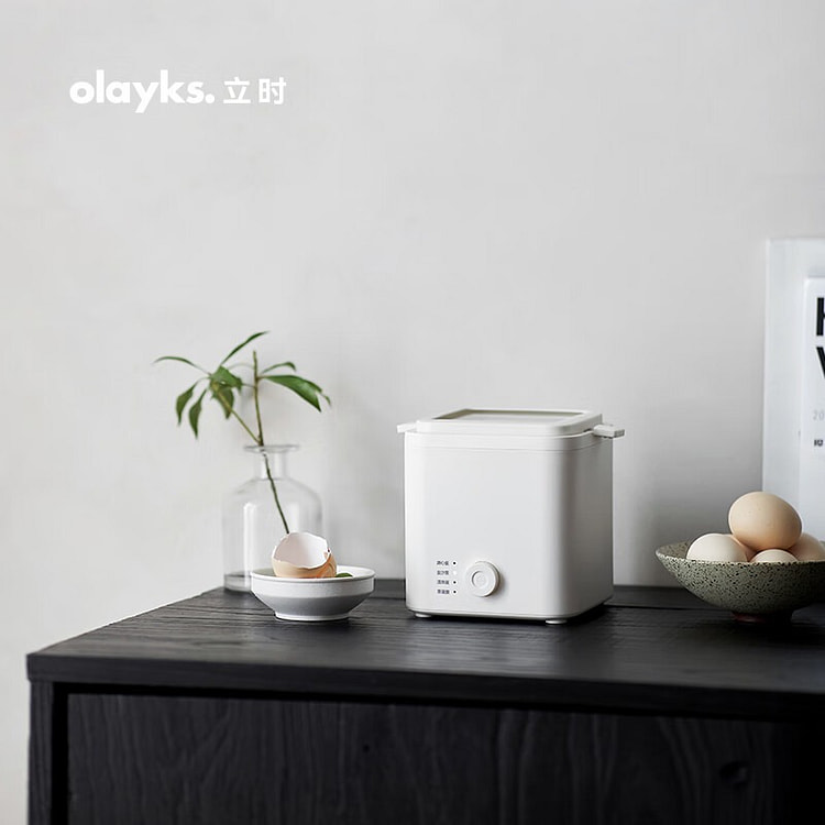 欧莱克煮蛋器OLK-01-04