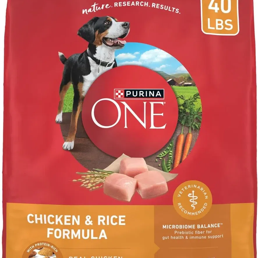 Purina ONE High Protein Chicken & Rice Dog Food 40 1 pack