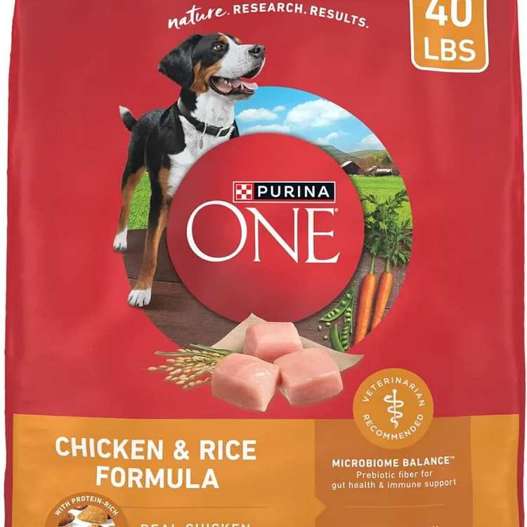 Purina ONE High Protein Chicken & Rice Dog Food 40 1 pack