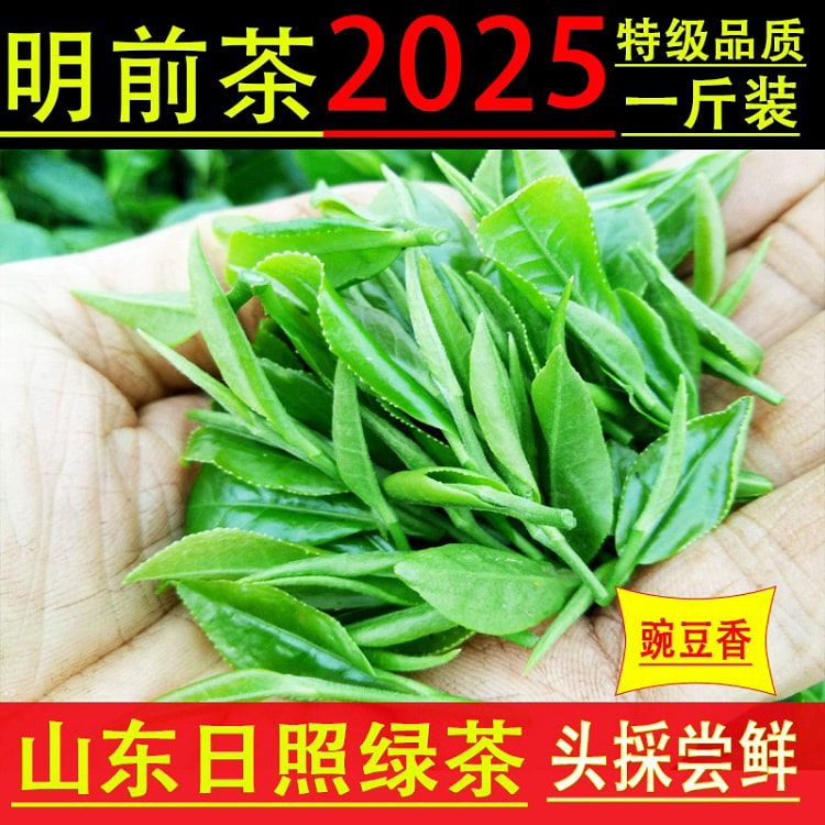 特级2025山东日照绿茶新春茶叶耐泡*1袋