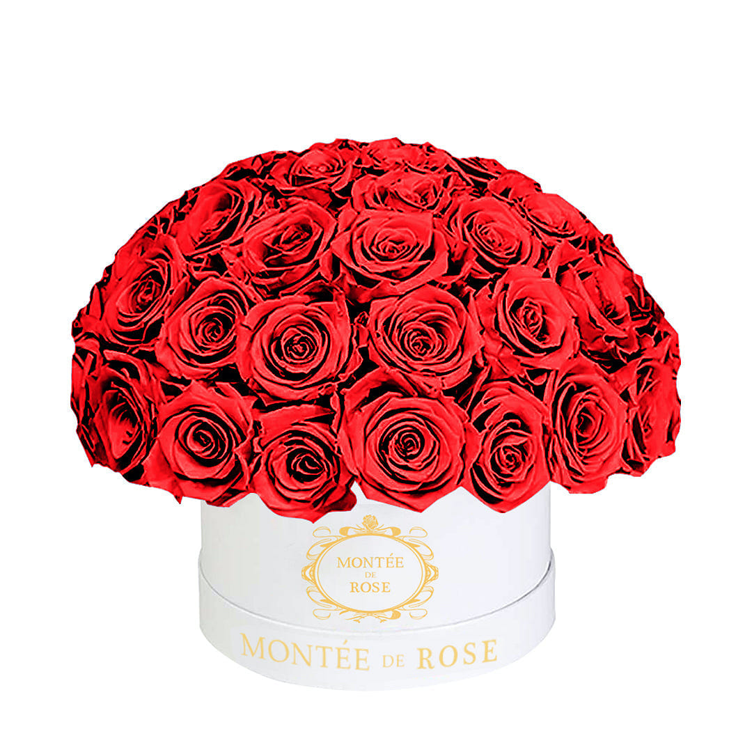 White Medium Dome Red 1 份
