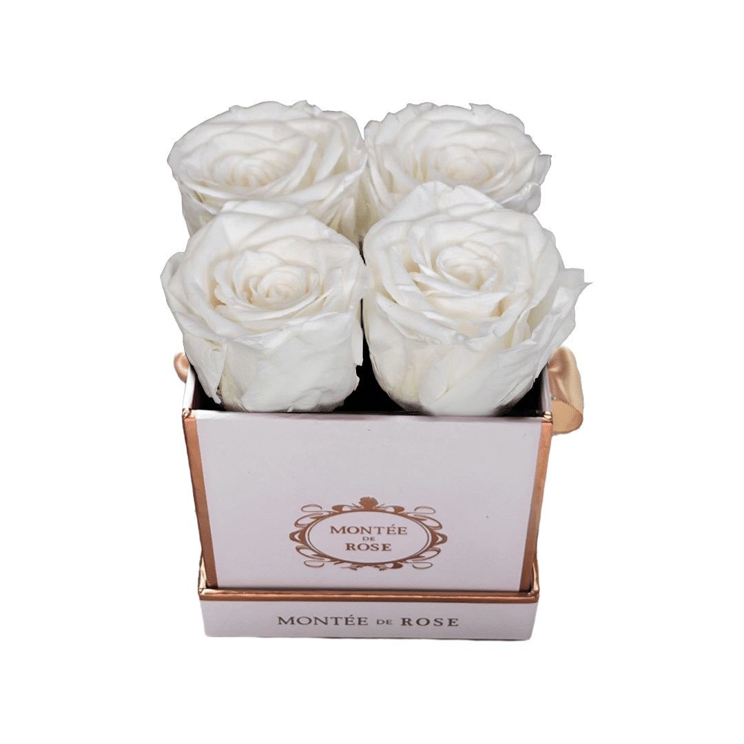 White Small Square Pure White 1 each