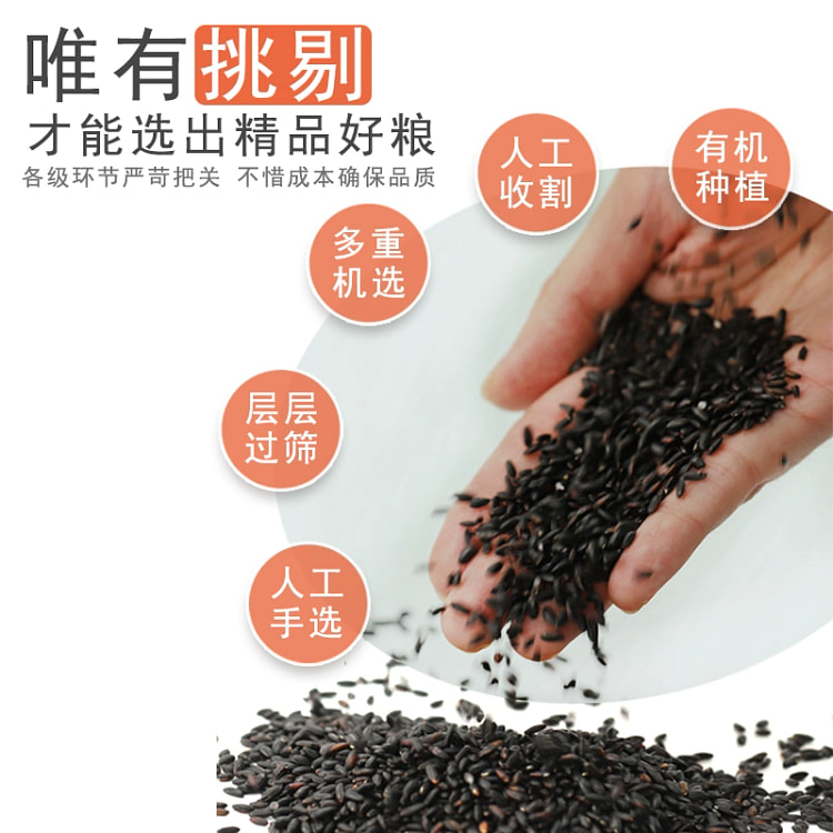 Student Table: Northeast Organic Black Rice Multigrain Porridge Ingredients