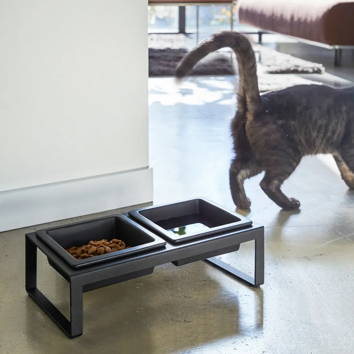 Pet Food Bowl Tall / Black 1 個