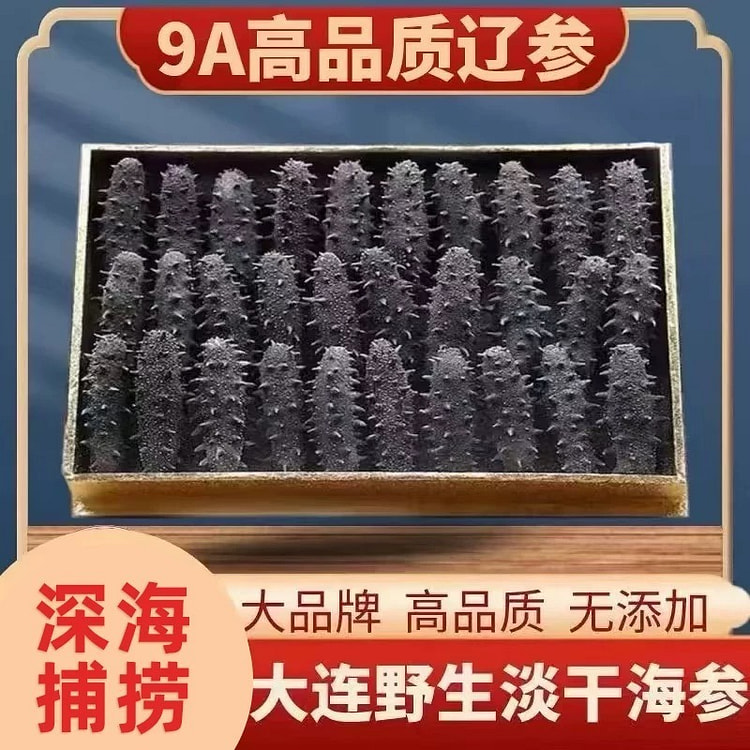 正宗大连孕妇级别野生海参刺参