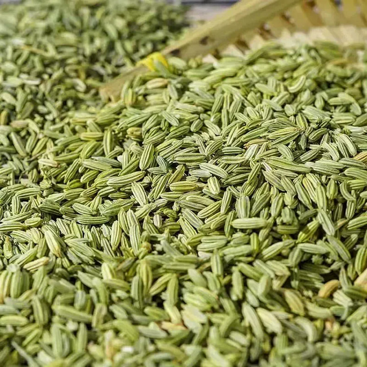 Fennel Seeds 50g *1 Bag 50 g