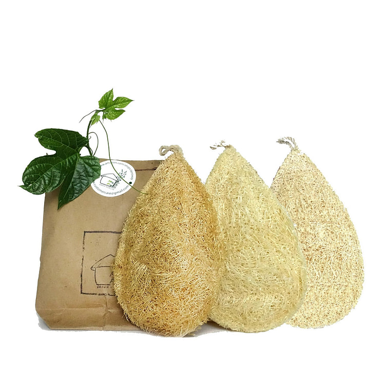 Natural Loofah Dish Sponge 3PCS Vegetable Scrubber 1 each