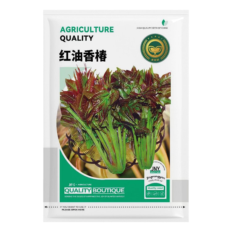 京农研红油香椿 蔬菜种籽*1袋