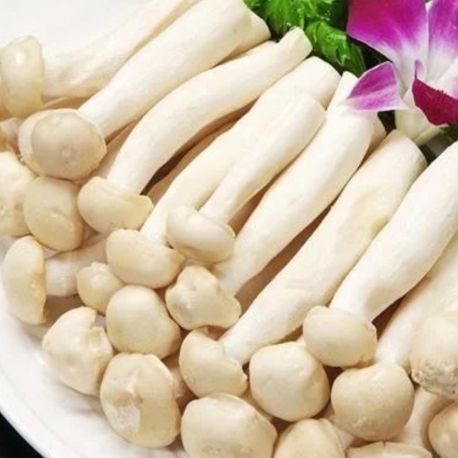 Get Seafood Mushrooms Delivered | Weee! Asian Market