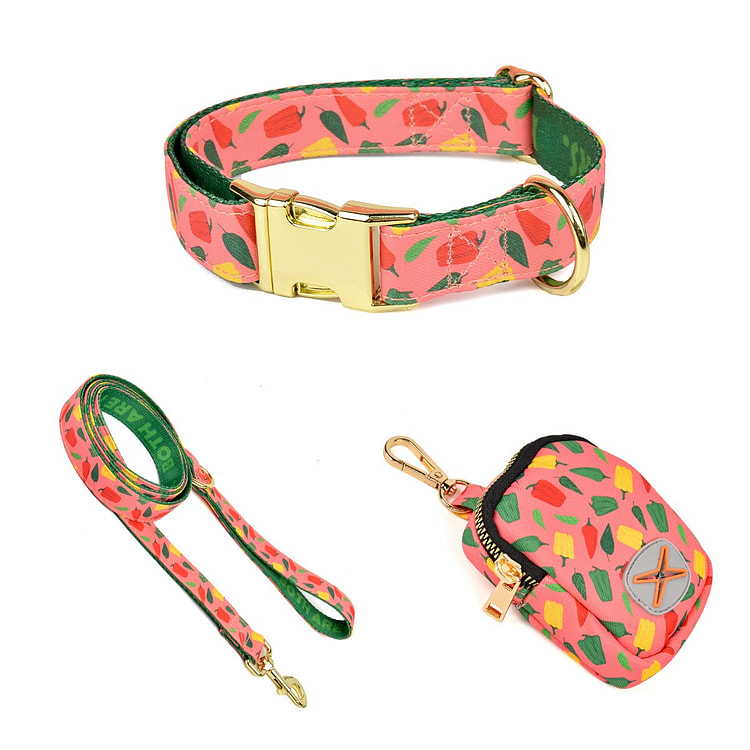 Travel gear kit with collar and dog leash 1 each