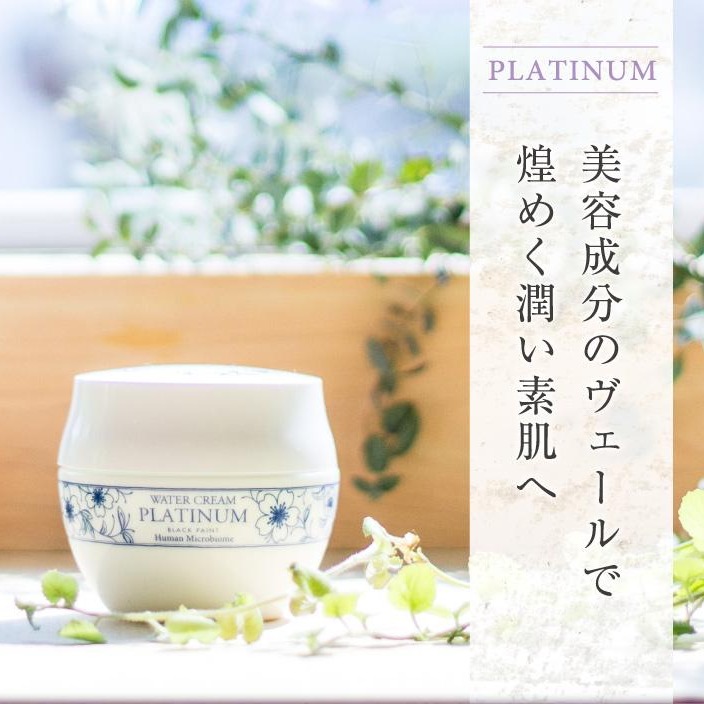 BLACK PAINT Platinum Water Cream 100g - Weee!