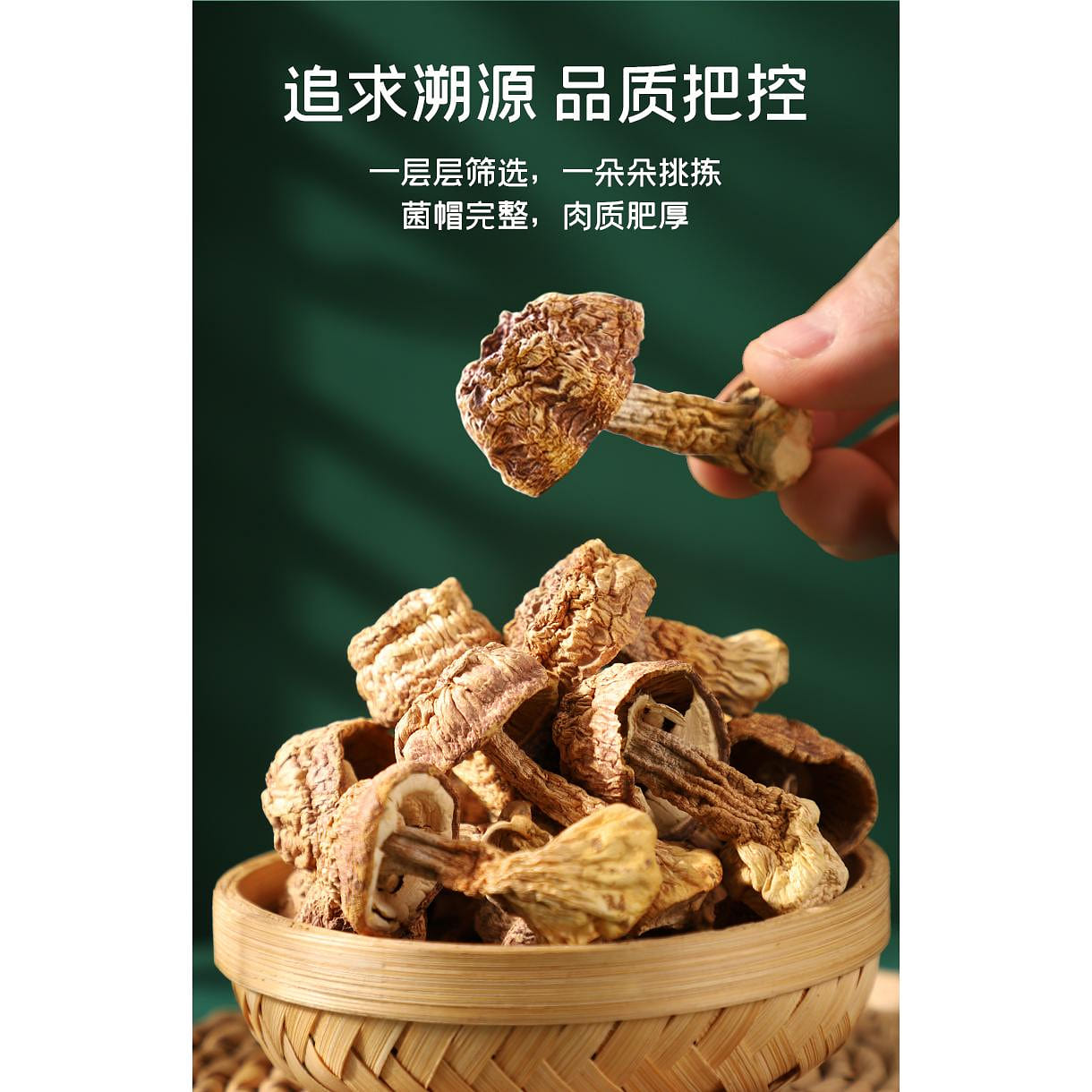 Fuchang Boutique Agaricus Mushroom 50g*1 bag of specialty mountain porcini mushrooms in soup nourishing mushrooms 50 그램