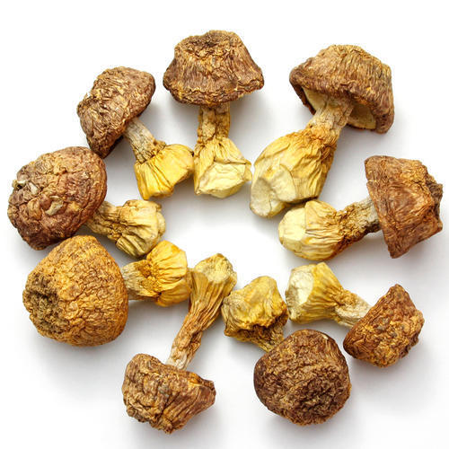 dried shiitake mushrooms100g * 1 pack - Weee!