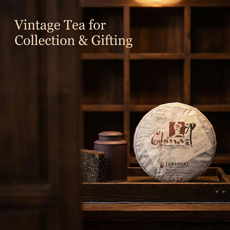 云南古乔木普洱茶养生老熟茶2005年 357 克