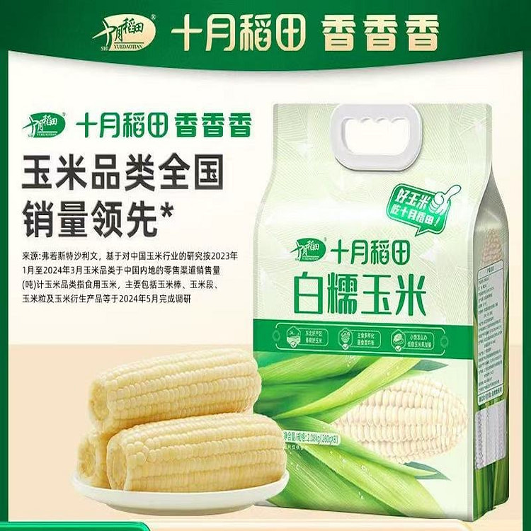 Bắp ngô nếp trắng 260g*8 cái.