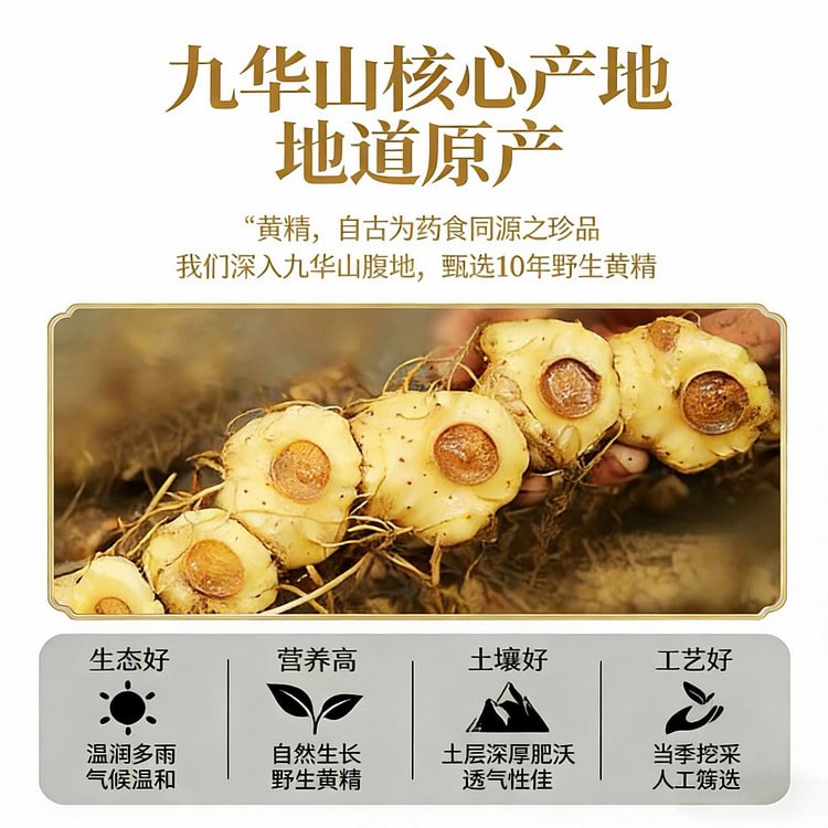 优卓九华山黄精养生茶
