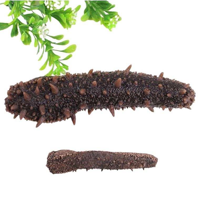 Alaska Dry Sea Cucumber 200g 1 個