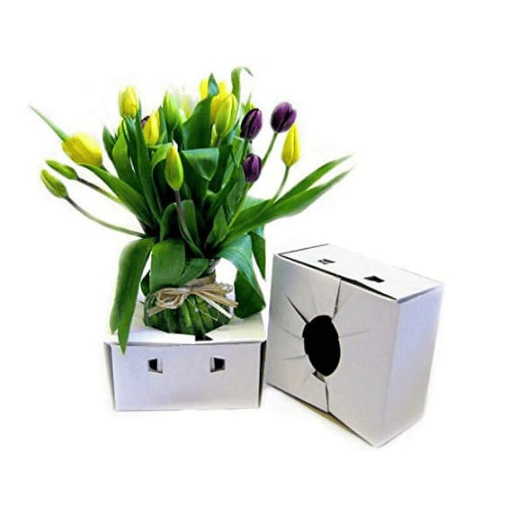 ホワイト 段ボール配送ボックス（8" × 8" × 4"） 10 count