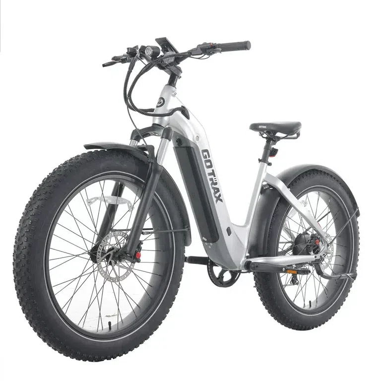 GOTRAX Tundra Electric Bike for Adults, 750W 48V 26, 20MPH, Silver, Step Thru 1 each