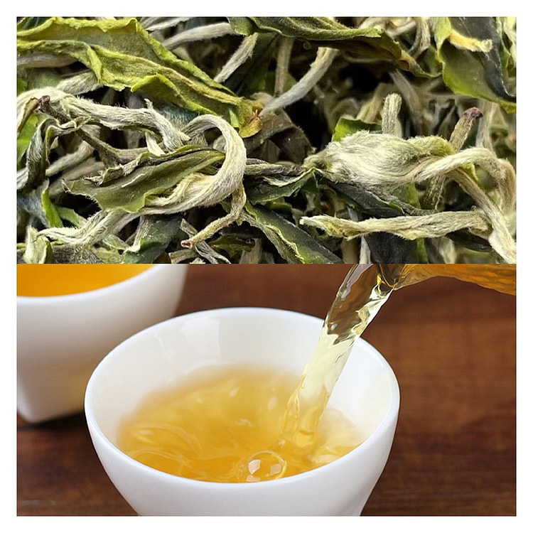 2025 Spring Yunnan Dian Green Tea