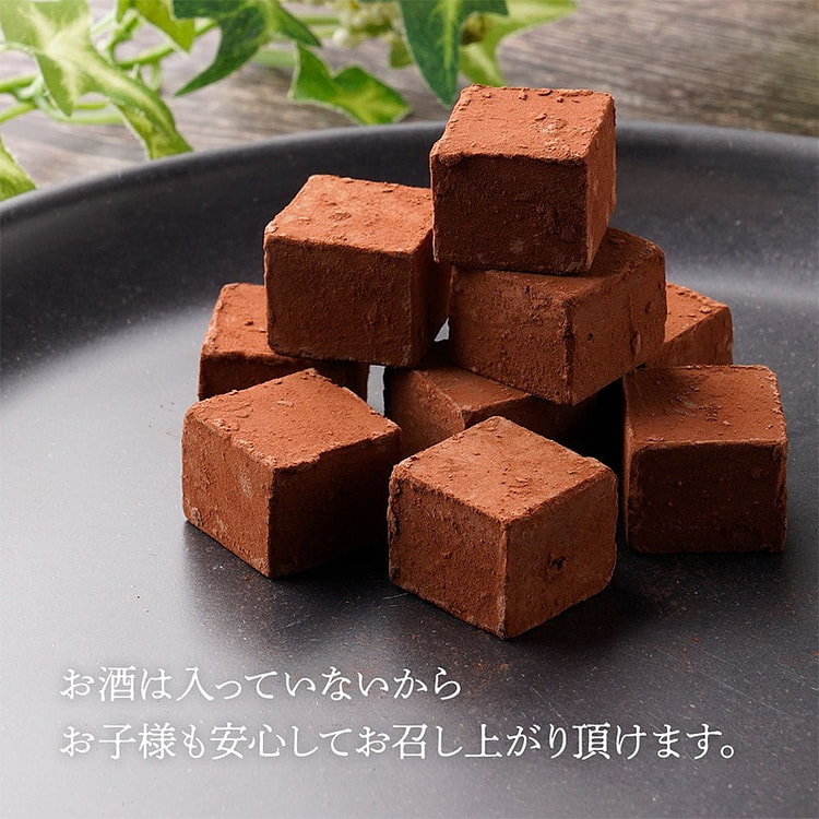 Patissier Shima Tokyo Stone Paving Raw Chocolate 9 pieces