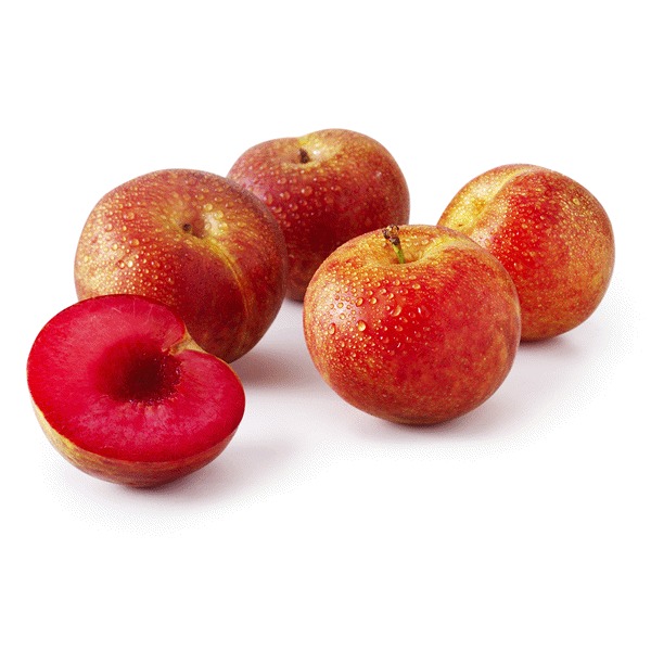 Organic Ruby Lane Plum 2.83.2lbs Weee!