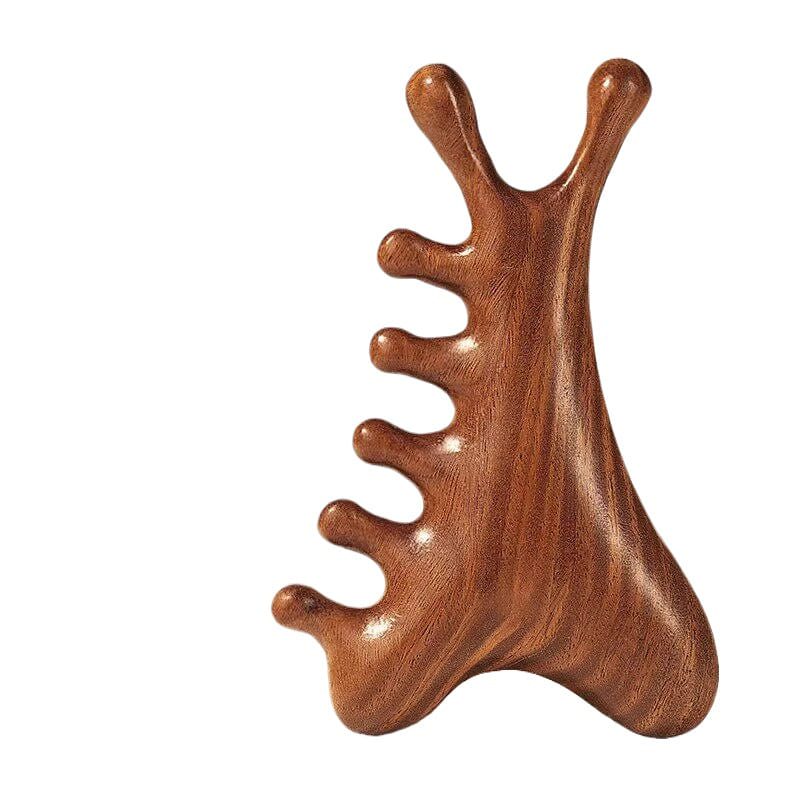 4-in-1 Sandalwood Scalp Massage Comb, 1pc 1 count