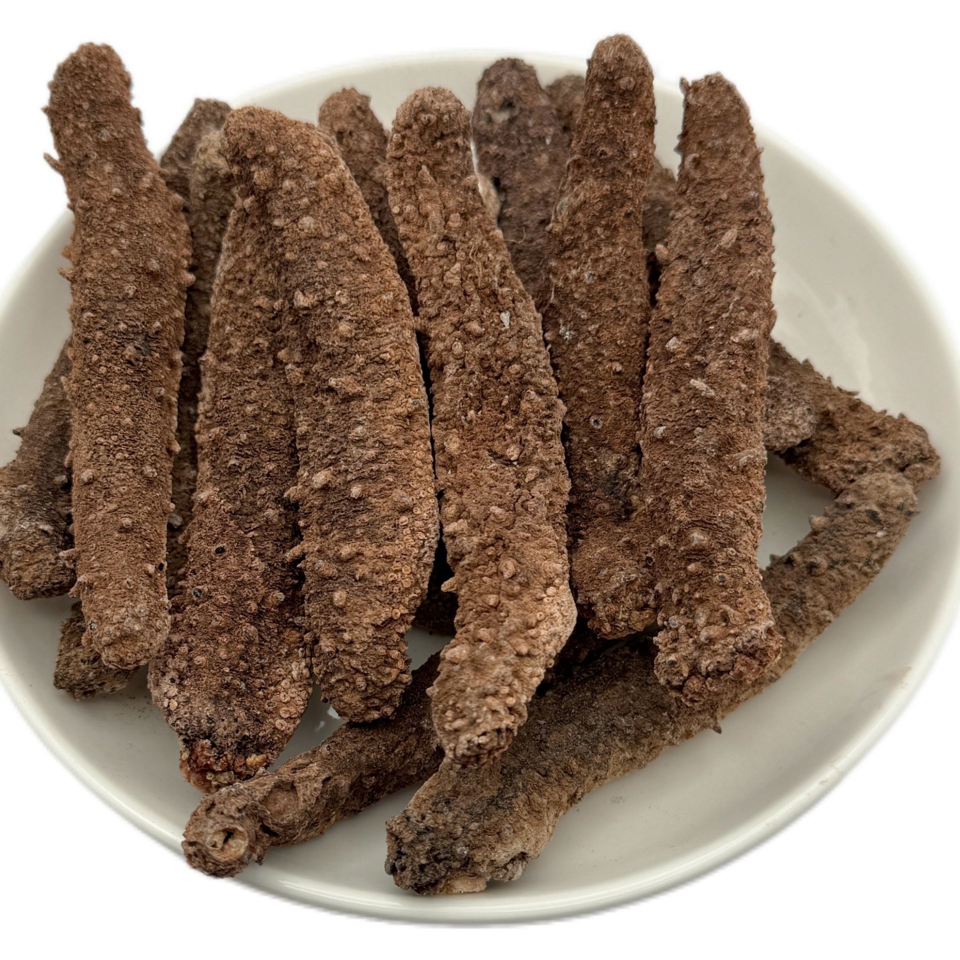 Wild Alaska Red Sea Cucumber XL 16 oz