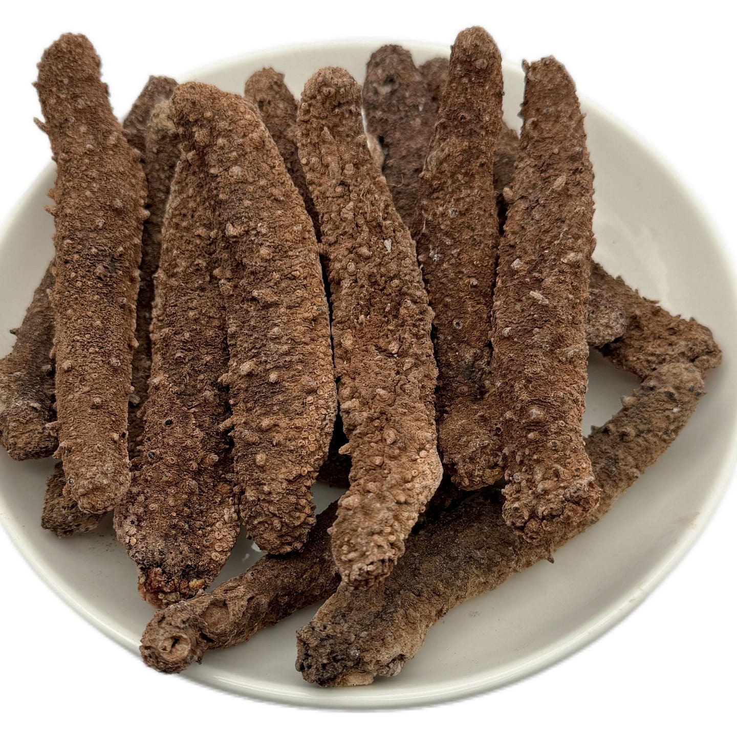 Wild Alaska Red Sea Cucumber XL 16 oz