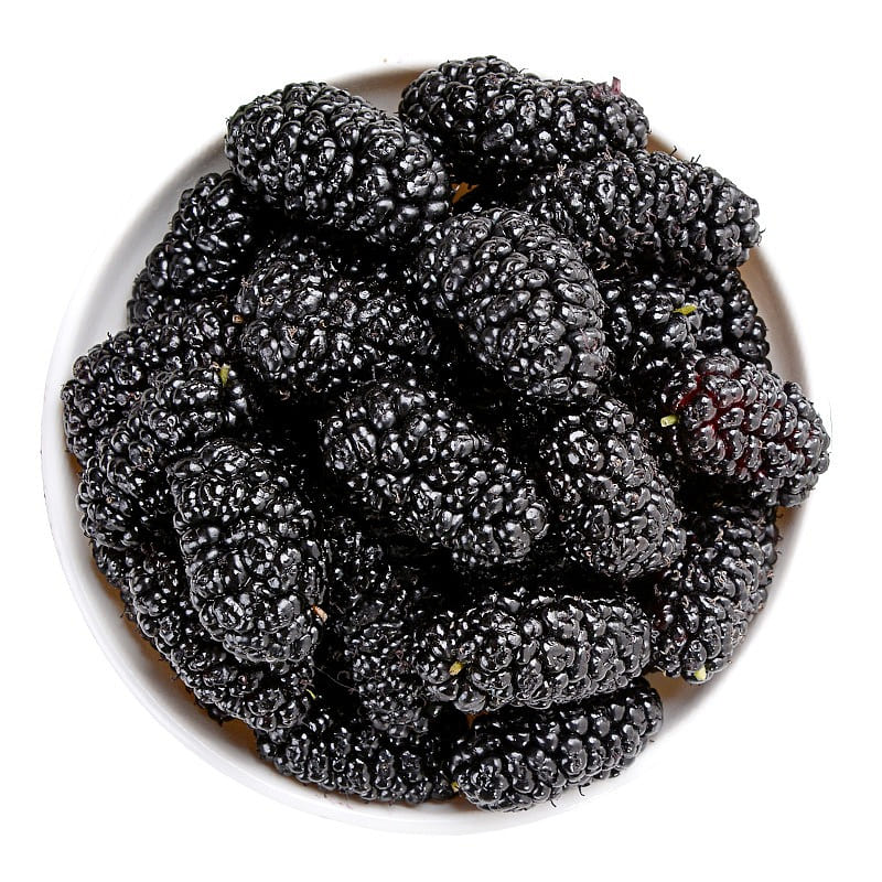 Xinjiang special no-wash Dried black mulberries 100g 250 g