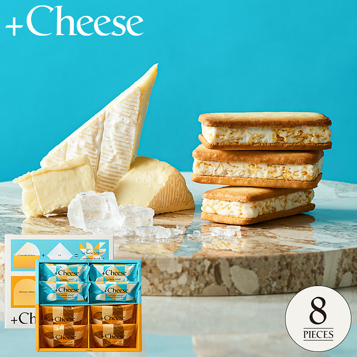 +cheese 饼干 饼 共8块