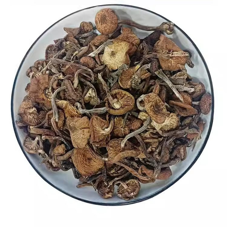 Wild Hazelnut Mushroom Mushroom 250g Changbaishan Zhen Mushroom Diced/ 250 g