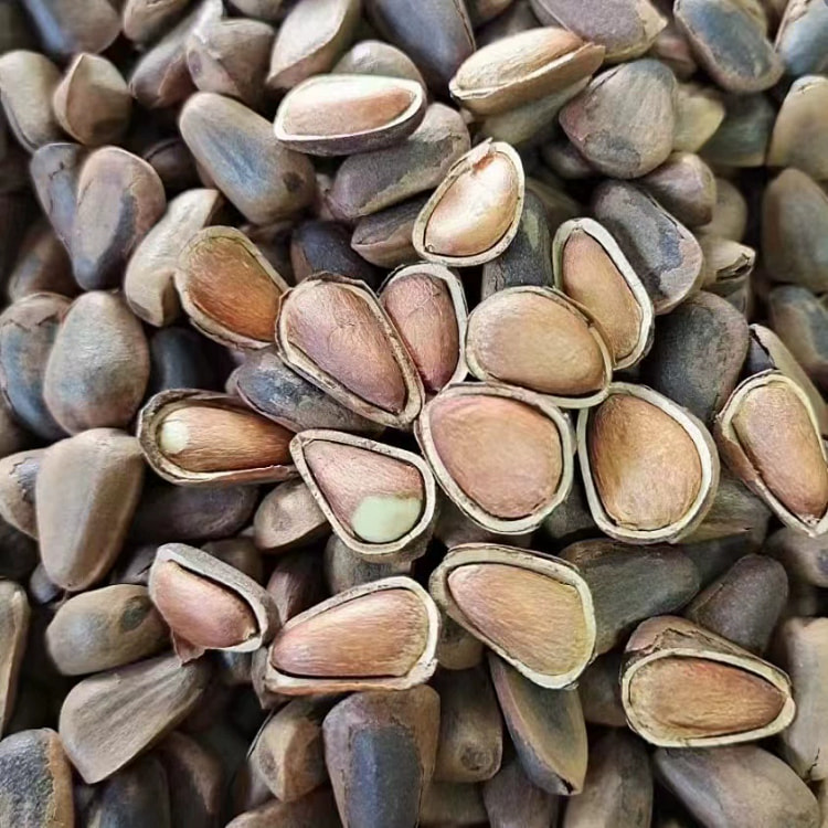 Wild pine nuts from Changbai Mountain250g*1bag 250 g