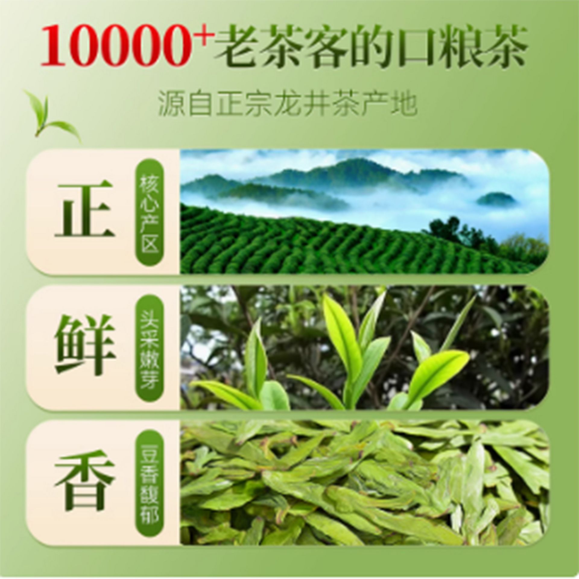 龙井茶礼⭐︎最高級品 新茶！ Amazon | 煕渓 龍井茶 龙井茶120g 中国茶 2025新茶 明前特級绿茶