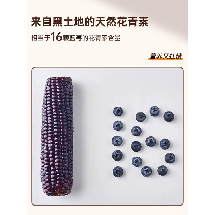 北纬47度黑糯玉米2穗