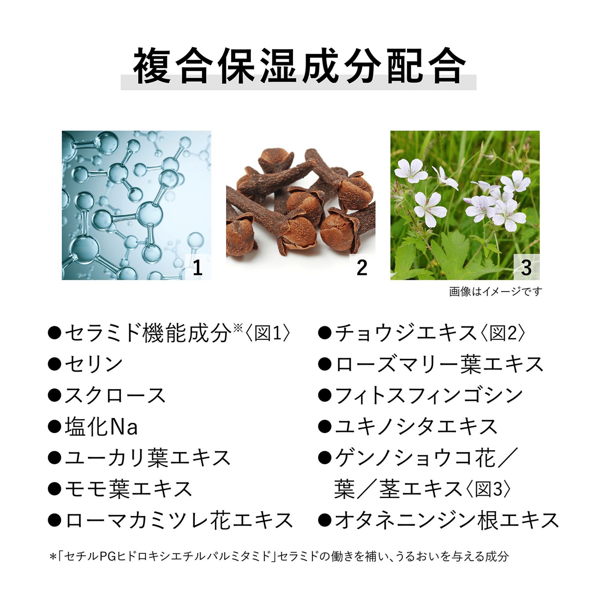 Kanebo Fusioning Solution 60ml 1 each - Weee!