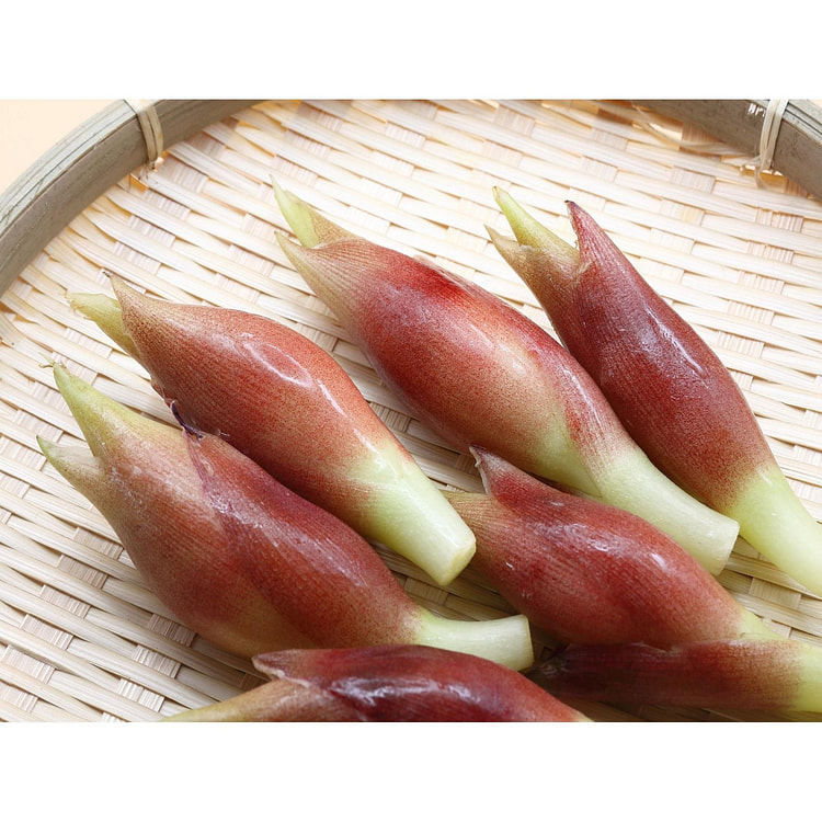 新鲜日本茗荷 100g