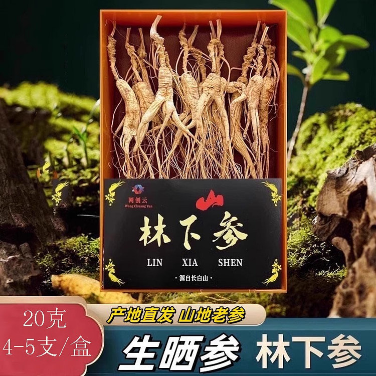 2024年 秋林下参山参 长白山人参干参正品人参 整枝林下山参泡酒煲汤20g（4-5枝/盒）