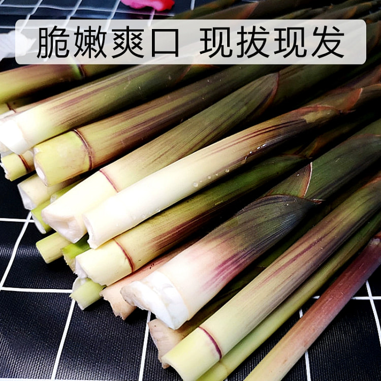 江西野生竹笋带壳春笋新鲜500g*1包