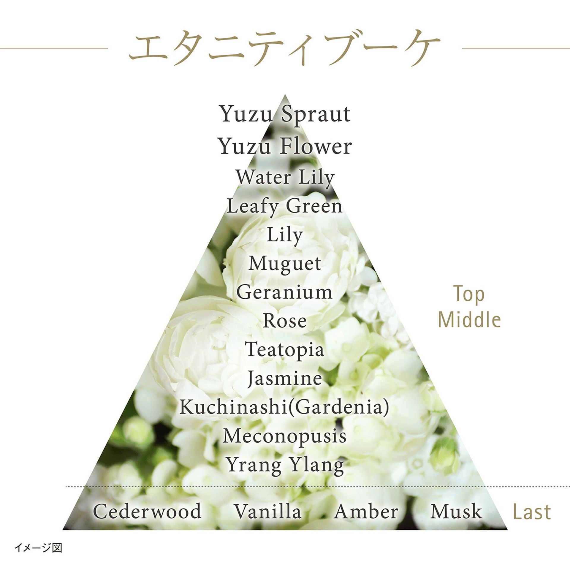 カネボウ ザ クリーム 40ml 1 個 - Weee!
